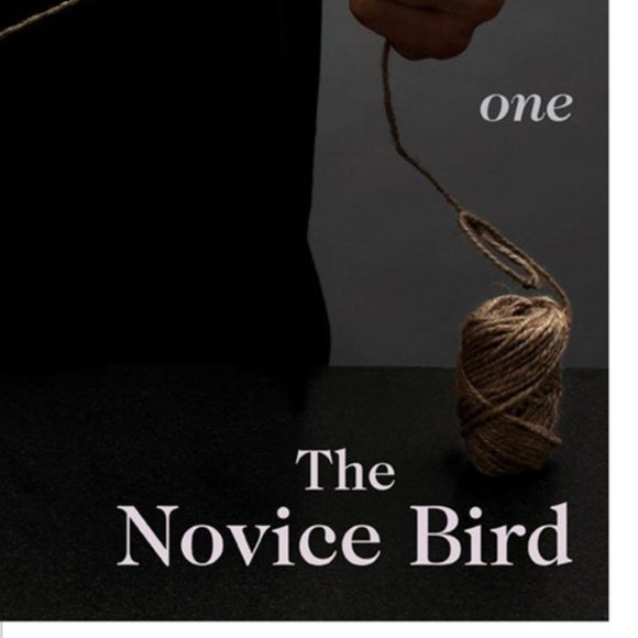 Fifty Shades of CHICKEN: A parody in a cookbook by F L Fowler HARDCOVER - Picture 5 of 15